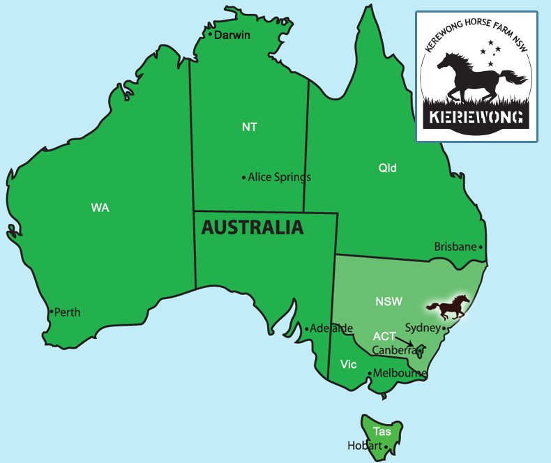 Kerewong Horse Farm East Coast Australia
