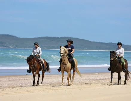 Beach Horse Riding Country & Coast Tour 