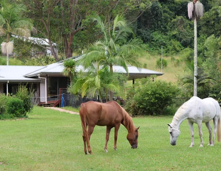 Horses living in garden