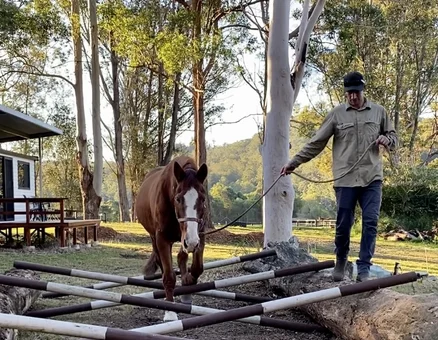 Cross Logs Equine Obstacle Course Australia