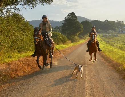 Australian NSW Hinterland Multi-Day Horse Riding Tour   