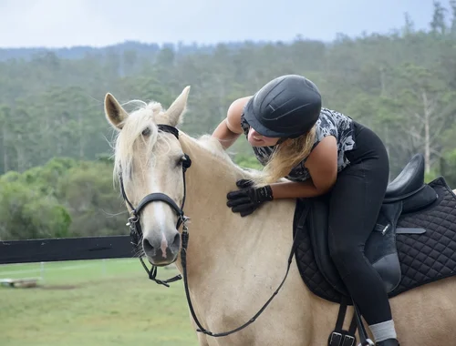 BYO Horse Holidays - Connect With Your Horse