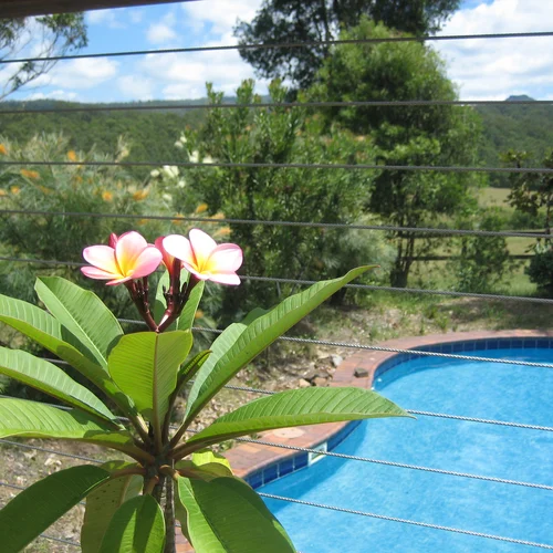 Horse Farm Accommodation Saltwater Pool