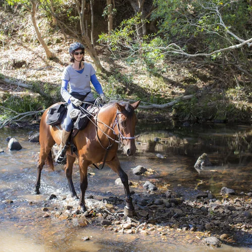 Explore Lorne Valley on horseback