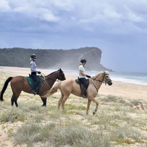Horse Adventure Holiday Tours NSW Australia 
