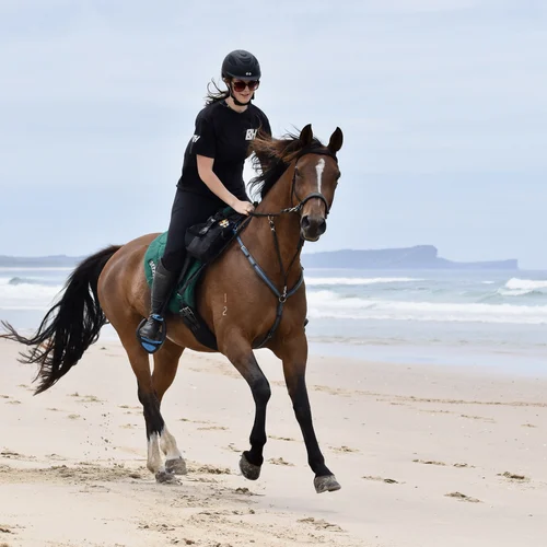Beach & Bush Australian Horse Tours 