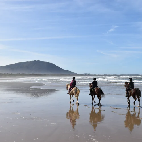 Horse Riding Beaches NSW