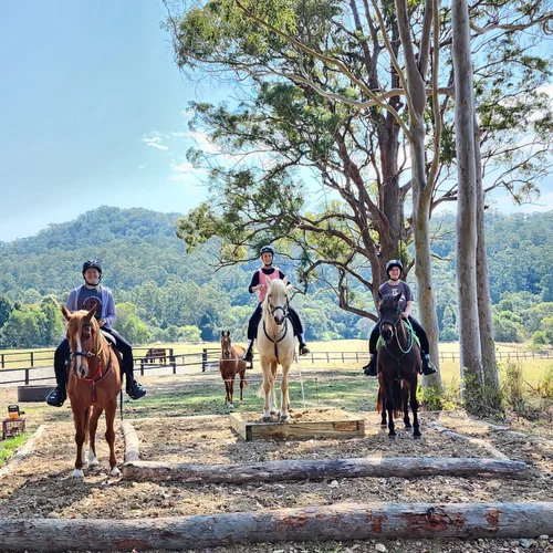 Horsemanship Obstacle Course 