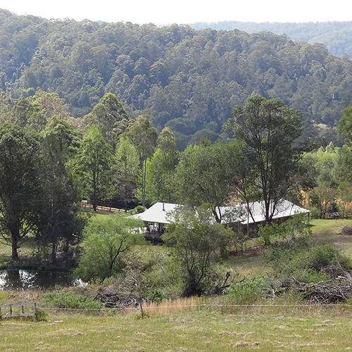 Horse Farm Accommodation NSW Australia