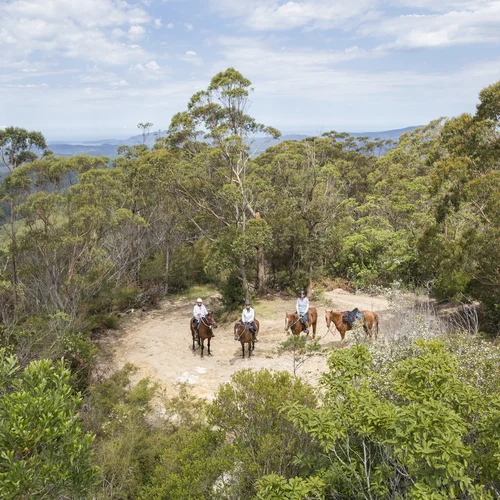 NSW Country and Coast Horse Riding Tour Australia