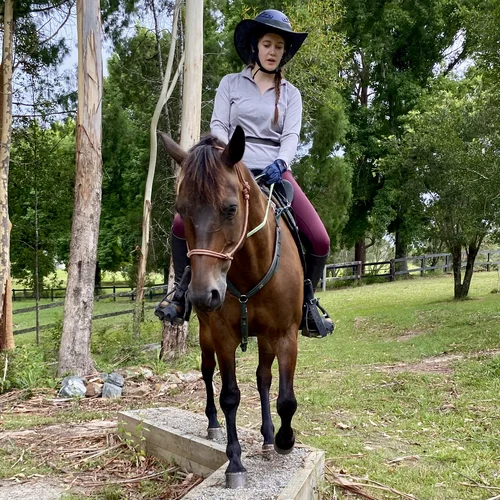 Balance Beam Horse Obstacle Agility Course NSW
