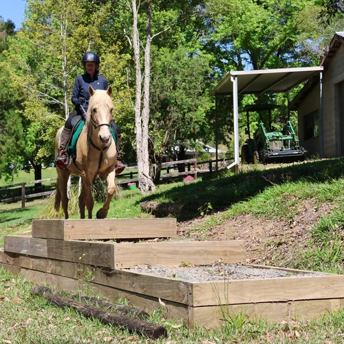 Mountain Trail Obstacle Course - Texas 2 Step